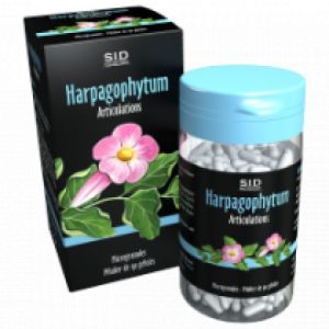 Harpagophytum Sidn Gélules boite de 90