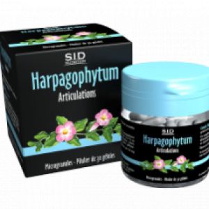 Harpagophytum Sidn Gélules boite de 30 gélules
