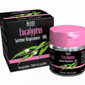 Eucalyptus Sidn Gelule 30